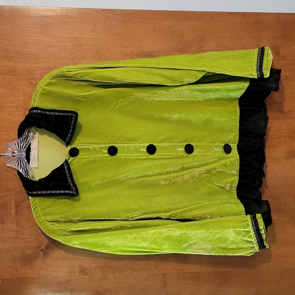 Vintage Taylor G velvet blouse